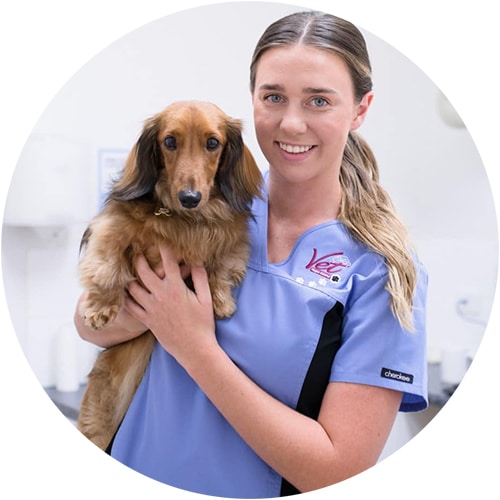 Hope Island Veterinary Surgery, a gold coast vet, Nurse Demi with a dog