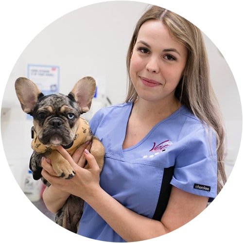 Hope Island Veterinary Surgery, a gold coast vet, Nurse Kirra with puppy