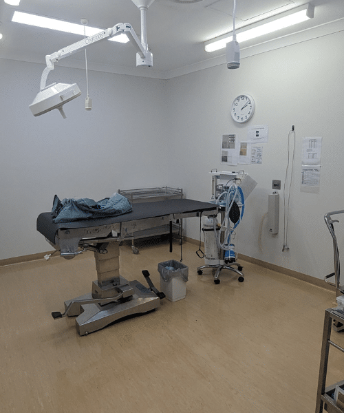 Surgical theatre at Hope Island Veterinary Surgery