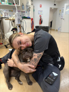 French Bulldog Miscka and Nurse Charlotte before surgery to remove lump