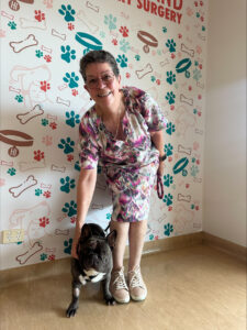 French Bulldog Miscka and owner Brenda after surgery to remove lump